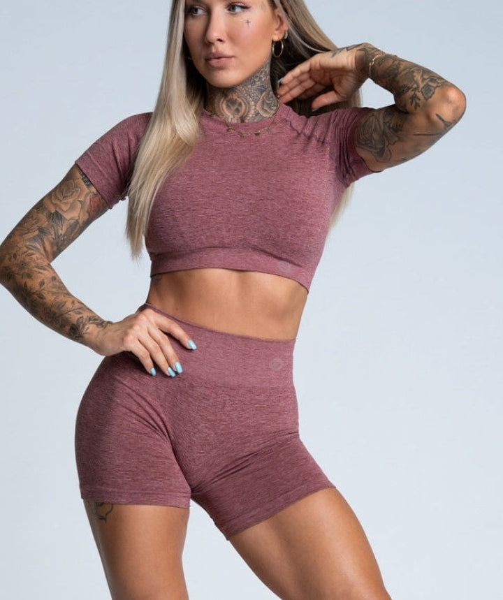Gym Glamour - Amy Seamless Crop Top (Rose Taupe)