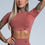 Gym Glamour - Amy Seamless Crop Top (Cherry)