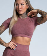 Gym Glamour - Amy Seamless Crop Top (Rose Taupe)