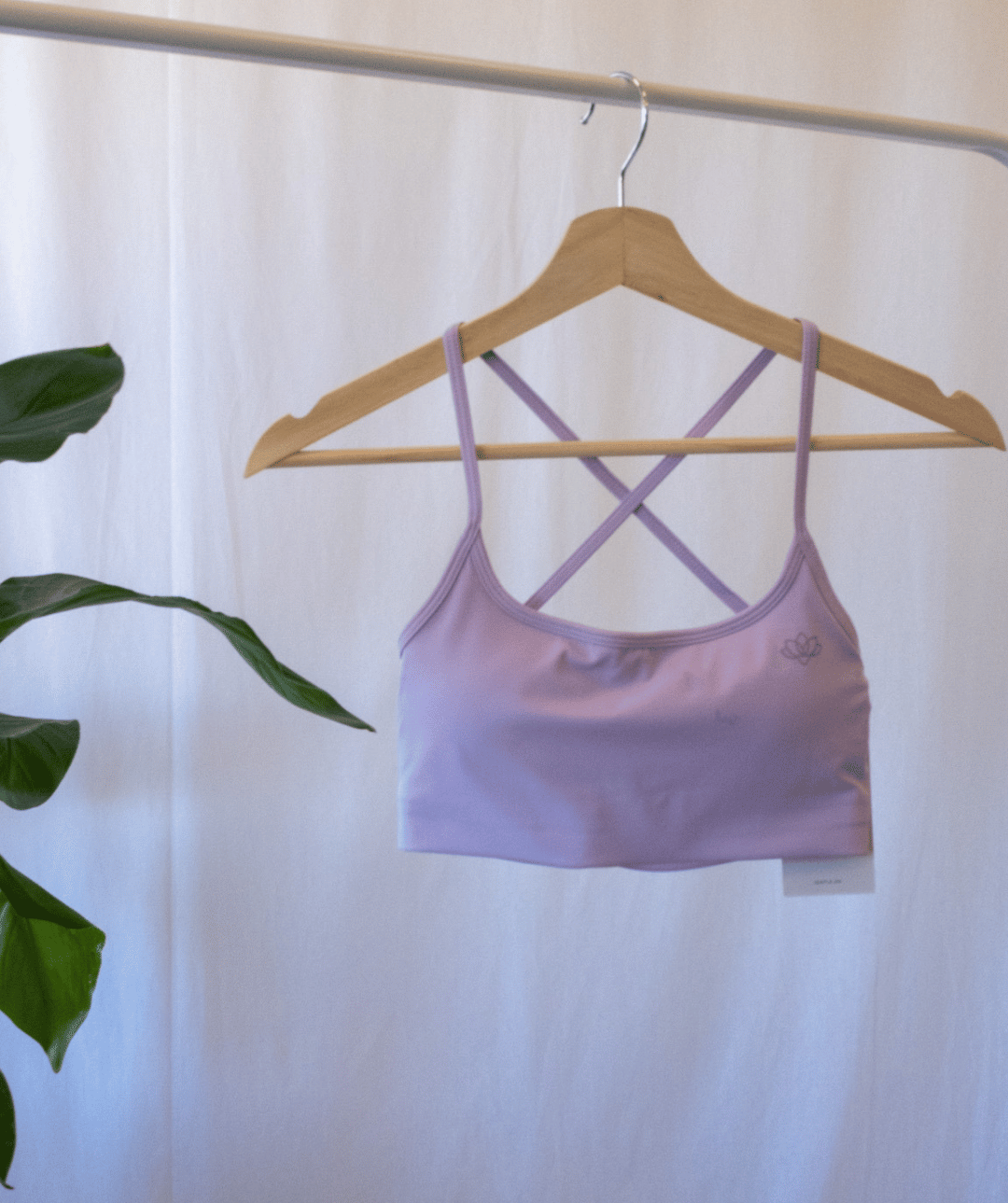 Jentle - Simplicity Sports Bra (Purple)